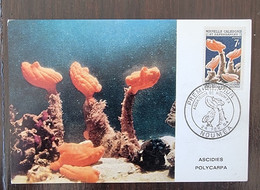 NOUVELLE CALEDONIE Ascidie, Faune Marine Yvert N°322 (FDC, Carte Maximum 1er Jour) En 1964 - Marine Life