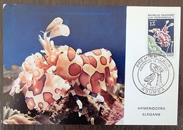 NOUVELLE CALEDONIE Crevette, Faune Marine Yvert N°324 (FDC, Carte Maximum 1er Jour) En 1964 - Marine Life