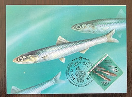 RUSSIE Poissons, Poisson, Fish, Peces, Yvert N°5821( FDC, Carte Maximum 1er Jour) En 1991/ FAUNE DE LA MER NOIRE - Vissen