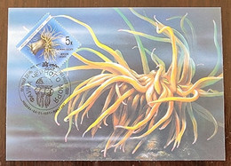 RUSSIE Poissons, Poisson, Fish, Peces, Yvert N°5819( FDC, Carte Maximum 1er Jour) En 1991/ FAUNE DE LA MER NOIRE - Mundo Aquatico