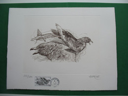 TAAF Grande Gravure Format 320x250 Du 1/1/93  N° 176 Skua Signé Andréotto N° 262/1200 - Altri & Non Classificati