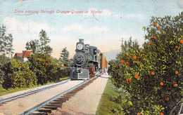 USA - ARIZONA - Train Passing Through Orange Groves In Winter - Carte Postale Ancienne - Otros & Sin Clasificación