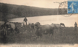 Cayres , Lac Du Bouchet * Une Vacherie Au Pâturage * Bergers Villageois - Autres & Non Classés