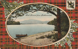 LOCH LOMOND FROM INCHTAVANACH - Dunbartonshire