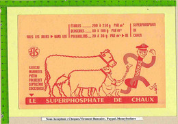 BUVARD : Le Superphosphate De Chaux Moutons , Vaches , Poules - Landbouw