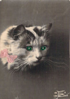 Portrait De Chat Aux Yeux Verts - Carte Postale Ancienne - Katten