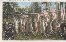 Adirondack Mountains. - An Adirondack Hunting Scene. Carte RARE - Adirondack