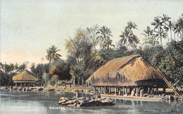 Tahiti - Raiata - Edit. F. Homes - Colorisé - Hutte Sur Piloti - Carte Postale Ancienne - Tahiti