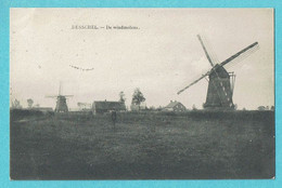 * Dessel - Desschel (Antwerpen - Anvers) * (Foto J. Meuleman Retie) Windmolens, Moulin à Vent, Muhle, Molen, TOP - Dessel