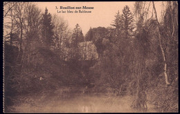 +++ CPA - ROUILLON Sur MEUSE - Le Lac Bleu De Bableuse  // - Anhée