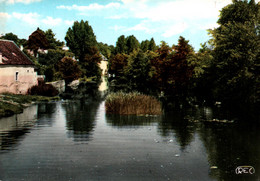 CPSM - LA TRIMOUILLE - Le Vieux Moulin Sur La Benaize - Edition M.Roussel - La Trimouille