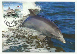 Portugal 2017 Emission Commune Avec Israel Dauphin Carte Maximum Joint Issue W/ Israel Dolphin Maxicard Postcard - Dauphins