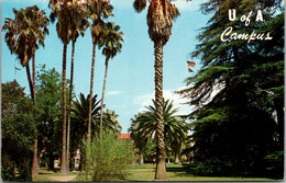 Arizona Tucson Campus View University Of Arizona - Tucson