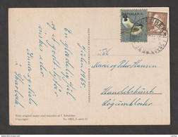 DANMARK:  1965  ILLUSTRATED  POSTCARD  WITH  40 Ore (422) - Lettres & Documents