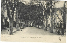 83 Cotignac Var L'allée Du Centre - Cotignac