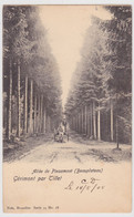 Gérimont Par Tillet - Allée De  Pinsamont (Beauplateau) - 1905 - Edit. Nels Serie 74 N° 18 - Sainte-Ode