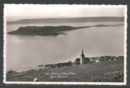 Carte P ( Gléresse Et L'Ile De St-Pierre. Ligerz Peterinsel ) - Gléresse