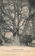 Fontaine Près Belfort * Le Tilleul De Turenne * Arbre * Villageois - Fontaine