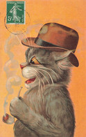 Chat Humanisé * CPA Illustrateur BOULANGER ? * Chapeau Hat Fumeur De Pipe Tabac * Chats Cat Cats Katze - Katten