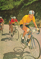 Felice GIMONDI * Coureur Cycliste Italien Né à Sedrina * Cyclisme Vélo Tour De France - Ciclismo