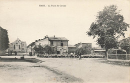 Hans * La Place Du Carcan * Transhumance Berger Moutons - Sonstige & Ohne Zuordnung