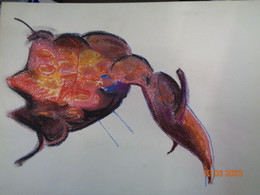 TESSON Gérard..crayons..Abstraction Lyrique.dessin :320 X 240 Mm.non Signé - Dessins