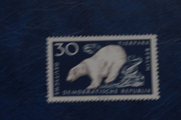 2-831 Arctic Animal Polaire Océan Glacial DDR Ours Blanc Polar Bear Oso Blanco Ouso Polare Ijbjorn Urso Zoo Berlin - Arctic Tierwelt