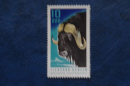 2-832 Arctic Animal Polaire Océan Glacial DDR Zoo Berlin Boeuf Musqué Ovibos Moschatus Groenland Moschusochse Musk Ox - Arctic Tierwelt