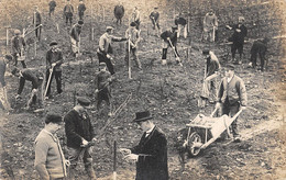 CPA 28 CARTE PHOTO D'UNE VUE DE BEAUCE / AGRICULTURE / TRAVAIL DE LA TERRE - Autres & Non Classés