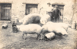 CPA 28 CARTE PHOTO D'UNE VUE DE BEAUCE / ELEVAGE DE PORCS / AGRICULTURE - Other & Unclassified