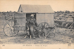 CPA 28 EN BEAUCE CABANE DE BERGER  / AGRICULTURE - Andere & Zonder Classificatie