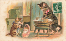 Chat * Chats Humanisés Faisant La Lessive * Laveuse * Cpa Illustrateur * Cat Katze - Cats