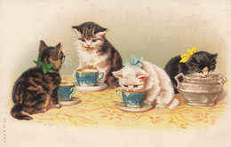 Chat * Chats Buvant Dans Des Tasses De Thé * Cpa Illustrateur * Cat Katze - Katzen