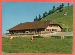 Chalet-Restaurant De Grange-Neuve Sur Baulmes - Baulmes