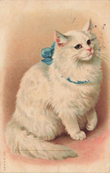 Chat * Chatte Blanche Et Son Ruban Bleu * Cpa Illustrateur * Cat Katze - Katzen