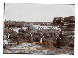 HOLLANDE ILE DE MARKEN ? UN VILLAGE LE TRAVAIL DU FOIN FEMMES - PHOTO 8.5*6 CM - Métiers