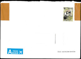 Europa Cept - 2011 - Belgie - Postal History & Philatelic Cover With Registered Letter - 101 - 2011