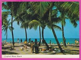 289126 / United States - Miami Beach Florida - Used 21c. Tropical Paradise Palm People On The Beach In Bathing Suits  PC - Miami Beach