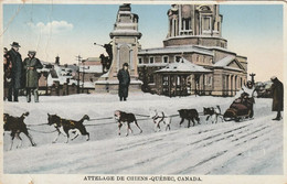 Attelage De Chiens - Ville De Quebec  Dog Sled, Quebec City - Québec - La Cité