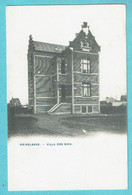 * Merelbeke - Meirelbeke (Gent - Oost Vlaanderen) * (Phot Bertels) Villa Des Bois, Chateau, Old, Rare, Unique - Merelbeke