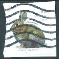 VERINIGTE STAATEN ETATS UNIS USA 2021 BRUSH RABBIT 20c USED ON PAPER SC 5544 MI 5782 YT 5395 - Gebruikt