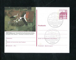 "BUNDESREPUBLIK DEUTSCHLAND" 1983, Bildpostkarte Bild Und Stempel "SAULGAU" (2/355) - Geïllustreerde Postkaarten - Gebruikt