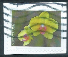 VEREINIGTE STAATEN ETATS UNIS USA 2021 GARDEN FLOWERS: YELLOW MOTH ORCHID F USED ON PAPER SC 5563 MI 5796 YT 5405 - Used Stamps