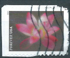 VEREINIGTE STAATEN ETATS UNIS USA 2021 GARDEN FLOWERS:PINK SACRED LOTUS F USED ON PAPER SN 5564 MI 5797 YT 5406 - Usati