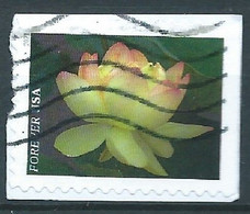 VEREINIGTE STAATEN ETATS UNIS USA 2021 GARDEN FLOWERS: YELLOW AMERICAN LOTUS F USED ON PAPER SC 5567 MI 5800 YT 5409 - Used Stamps