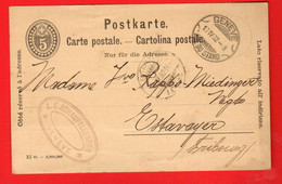 ZUR-31  Entier Postal 5 Centime Ganzsache Avec Cachet Lame De Rasoir Genève 1902, Tampon Schaufelberger Genève - Entiers Postaux