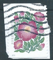 VERINIGTE STAATEN ETATS UNIS USA 2022 MOUNTAIN FLORA: WOODS ROSE P. 10¾ X 11 F USED PAPER SN 5679 MI  YT 5513A - Used Stamps