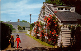 Massachusetts Nantucket Island Narrow Lanes And Colorful Roses 1966 - Nantucket