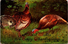 Thanksgiving With Turkeys 1909 - Thanksgiving