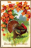 Thanksgiving With Turkey - Thanksgiving